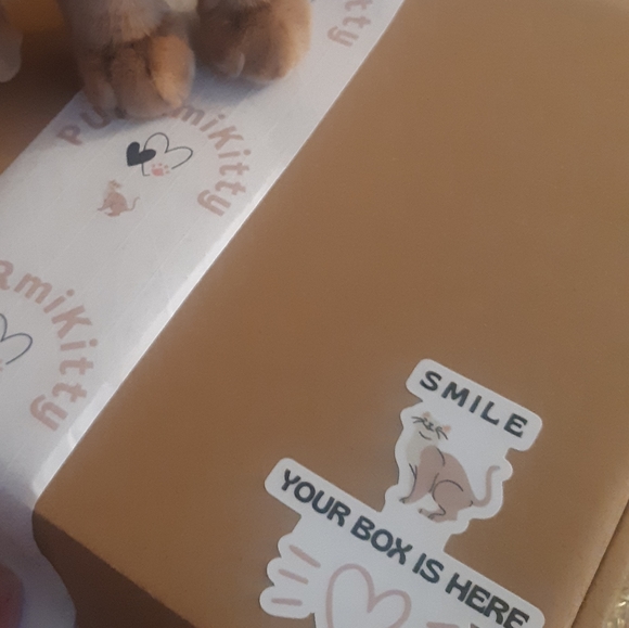 Cat Themed Mystery Fun Box Up to 5lbs - Picture 4 of 12